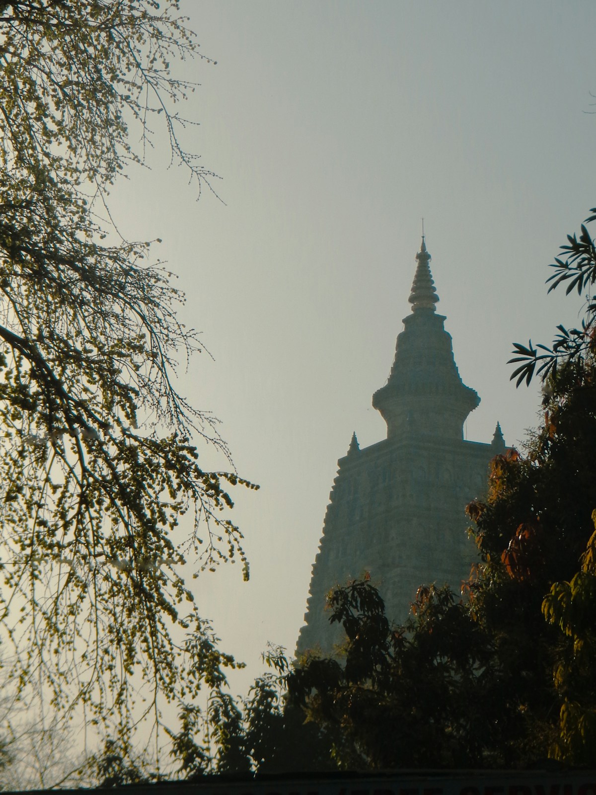 Taxi Hire For Buddhist Tour From Delhi